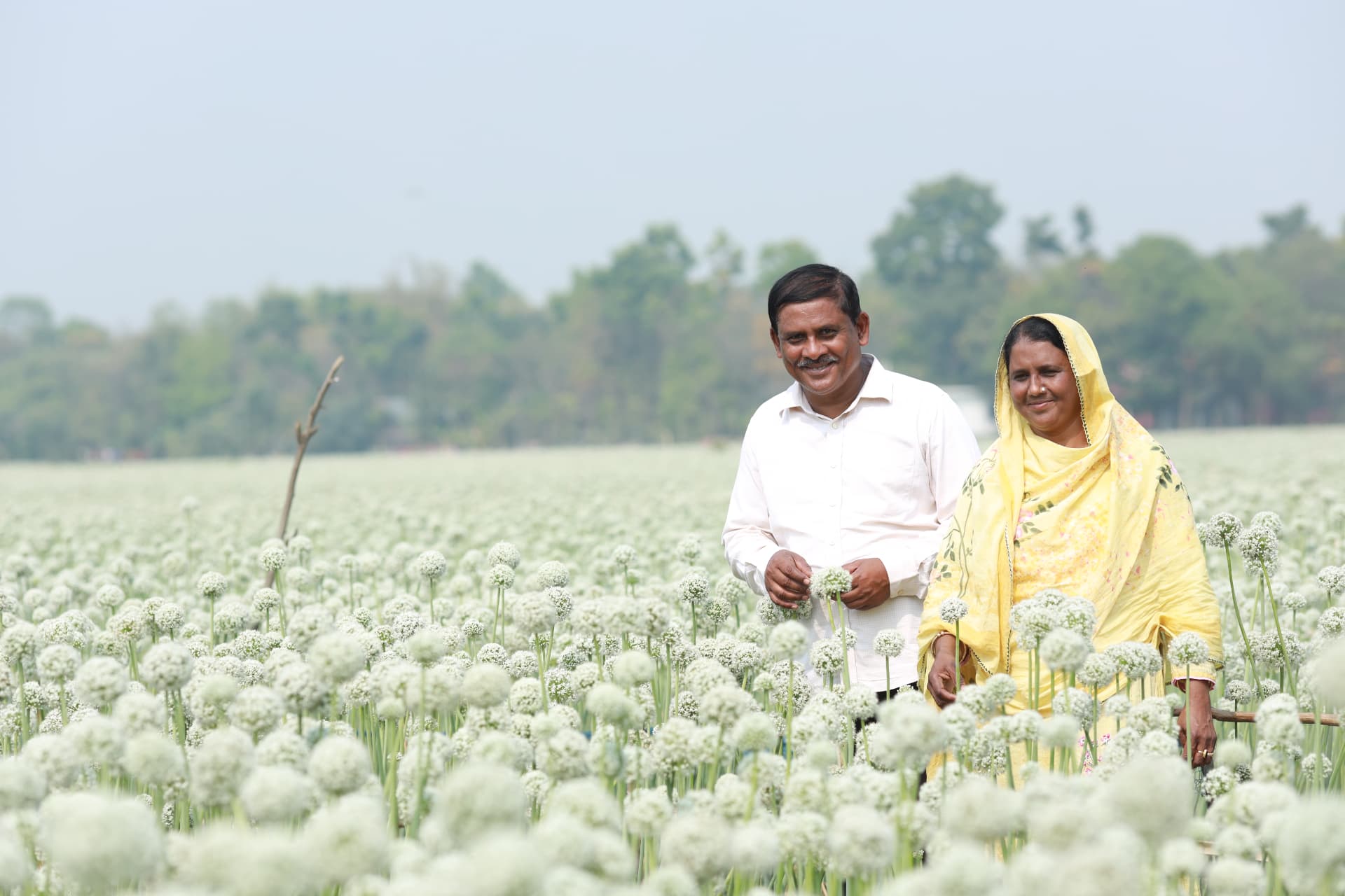 Farmer couple smiling in a blooming onion seed field